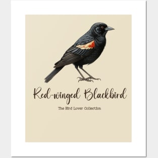 Red-winged Blackbird - The Bird Lover Collection Posters and Art